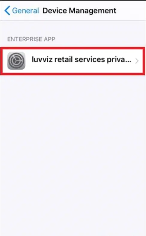 Device Management screen with the luvviz retail services developer listed under Enterprise App