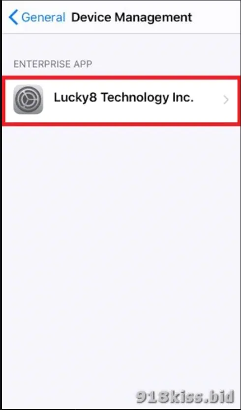 Enterprise App section in iOS Settings with Lucky8 Technology Inc. highlighted