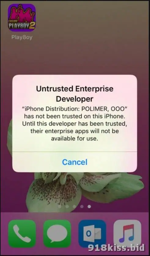 Untrusted Enterprise Developer box naming POLIMER, OOO, with only a Cancel button