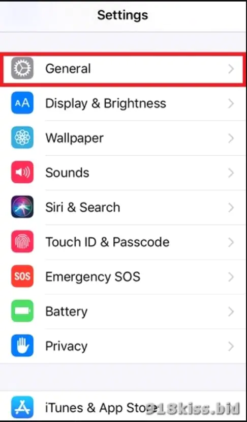 iOS General settings list with the Device Management row showing POLIMER highlighted below VPN